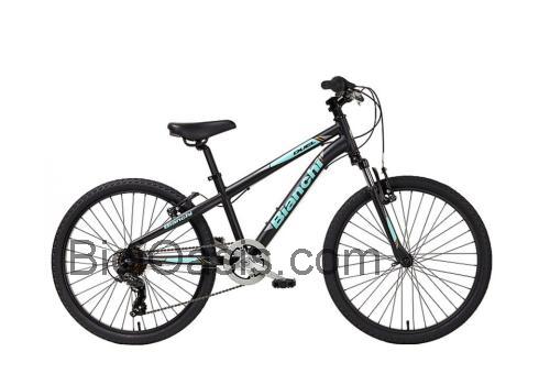 Bianchi Duel 20 ficha técnica y opiniones